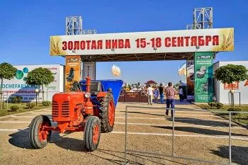 Золотая Нива 2020